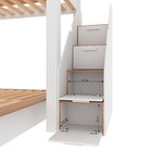 Beliche Family Adulto Com Cama Casal Star Plus Casatema Madei