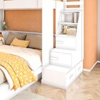 Beliche Family Infantil/juvenil Com Nichos E Escada Multifunc