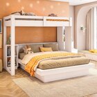 Beliche Family Infantil/juvenil Com Nichos E Escada Multifunc