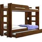 Beliche Infantil Com Cama Auxiliar - 125-canion - Star Móveis