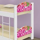 Beliche Mini Cama Sereia E Corais