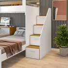 Beliche Multifuncional Solteiro Adulto Com Escrivaninha Star