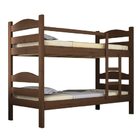 Beliche Rubi Pederpinus Imbuia