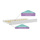 Beliche Teen Play com Cama Auxiliar - Madeira Maciça - Casate