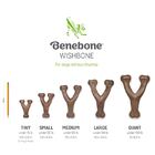 Benebone Wishbone Bacon P