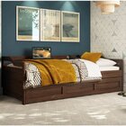 Bicama Londrina Castanho