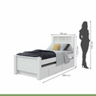 Bicama Solteiro 2 Gavetas Athenas  Branco