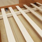 Bicama Solteiro Infantil Liz Cinamomo