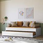 Bicama Solteiro Ônix Flex - Peternella Móveis