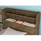 Bicama Solteiro Santos Baú Castanho Wood