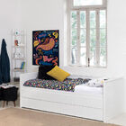 Bicama Zoon 3 Gavetas - Branco Fosco