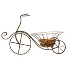 Bicicleta Rattan com Cachepot Marrom Shangai