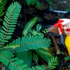 Biocarb 1l Mata Mato