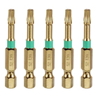 Bits de Torção Torx T20 50mm 5 peças Dexter Pro