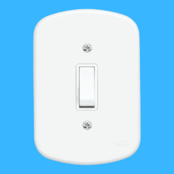 Blanc 1 Seção De Interruptor Paralelo Com Placa