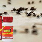 Blekalt 90g Mosquicida Com Atrativo