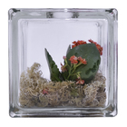 Bloco  Personalizado(Furo Red)