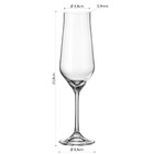 Bohemia Lida Taça Champanhe 24x6x6cm 220ml Cristal Transparen