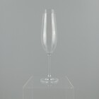 Bohemia Sarah Taça Champanhe 25x6x6cm 260ml Cristal Transpare