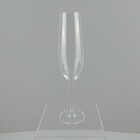Bohemia Sarah Taça Champanhe 25x6x6cm 260ml Cristal Transpare