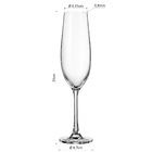 Bohemia Sarah Taça Champanhe 25x6x6cm 260ml Cristal Transpare