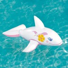 Boia Baleia Beluga Mor