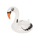 Boia Circular Cisne Sortido 1,65m X 1,17m Bestway