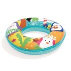 Boia Circular Peixes 51cm Pinguim Azul