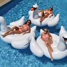 Boia Cisne Branco Gigante 190cm