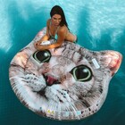Bóia Colchão Inflável Para Piscina Gato Intex