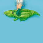 Bóia Crocodilo B Mor