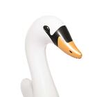 Boia Divertida Cisnei Luxo