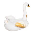 Boia Divertida Cisnei Luxo