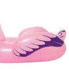 Boia Divertida Flamingo Luxo