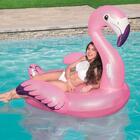 Boia Divertida Flamingo Luxo
