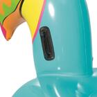 Boia Divertida Tucano