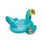 Boia Divertida Tucano