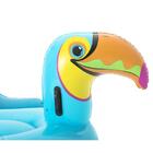 Boia Divertida Tucano