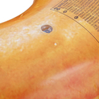 Boia Donut Chocolate