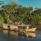 Boia Framboesa Com Aroma Mor