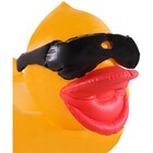 Boia Inflável Gigante Pato de Óculos
