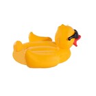 Boia Inflável Gigante Pato de Óculos