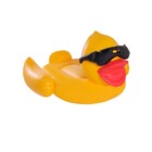 Boia Inflável Gigante Pato de Óculos