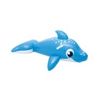Boia Inflável Golfinho Mor
