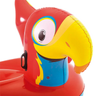 Boia Inflável Mor Papagaio