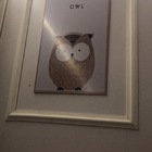 Boiserie Moldura Rodameio De Eva Adesivo E Flexível *sirius 2