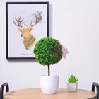 Bola Artificial De Buchinho Decorativa