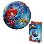 Bola Inflável Homem-aranha Mor