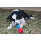 Bola Megalast Ball Jw - Bola De Borracha Para Jogar E Também