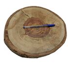 Bolacha De Madeira Lixada Artesanato E Decoração 28 X 27cm